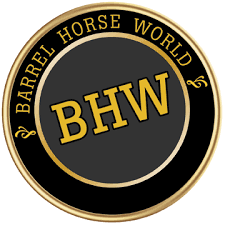 Buy BHW Accounts